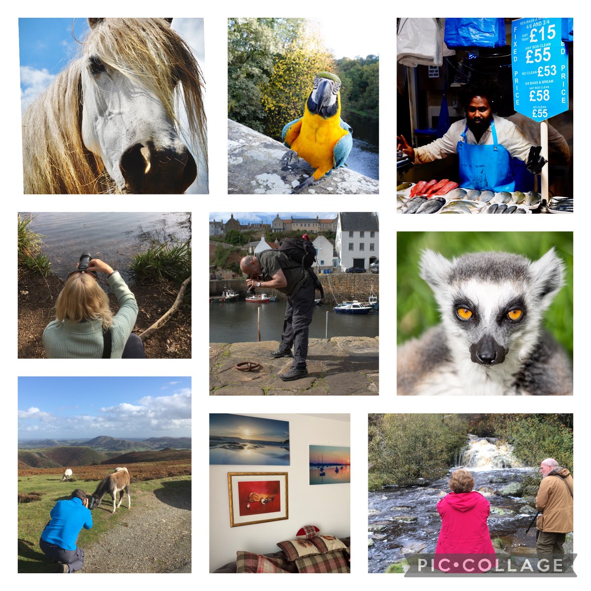 Forget Black Friday and Support Independent Businesses - mailchi.mp/2849c72aa321/f…
Have a browse through our Winter newsletter with details of where you can find us in the coming weeks and the latest feedback from our photography workshops.