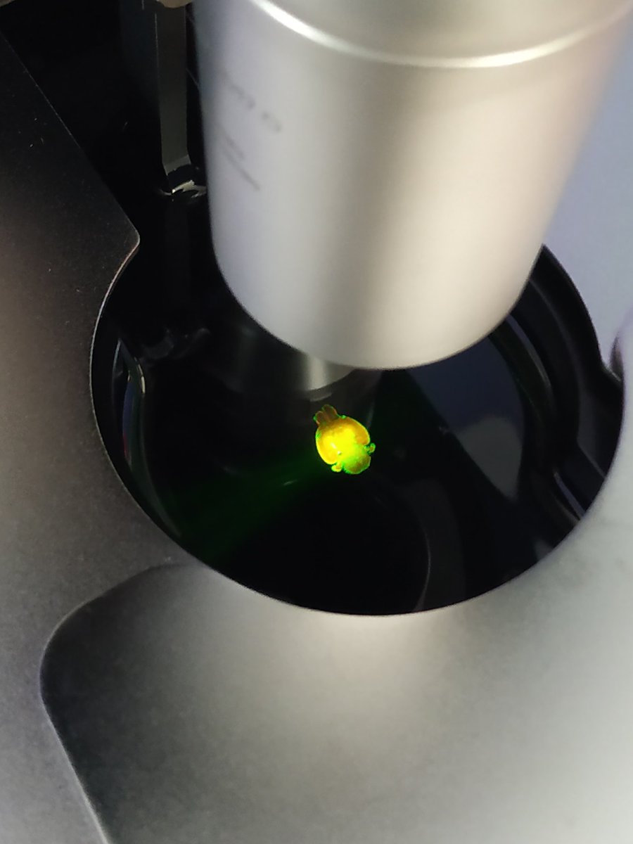 miltenyibiotec on Twitter "RT ejuarezescoto Today we got the