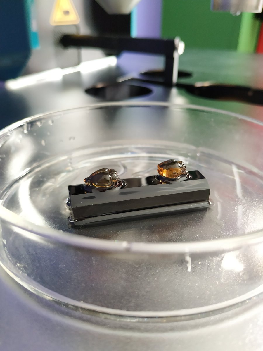 miltenyibiotec on Twitter "RT ejuarezescoto Today we got the