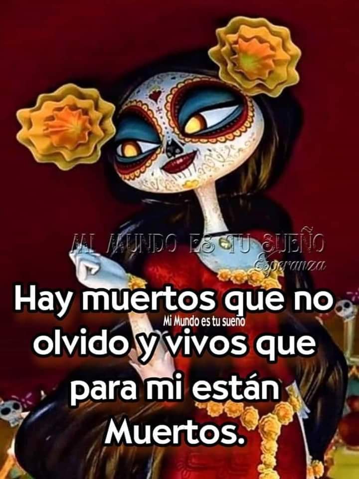 Norma Davila tweet media