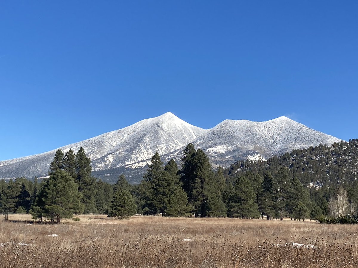 museumofnaz's tweet photo. Good morning from MNA campus!#Snow #flagstaff #Peaks #mountains #museumlife #mywalktowork #Arizona #museum https://t.co/bhj8eH9V7y