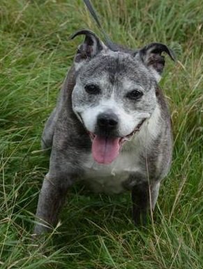 Oldies Club tweet media