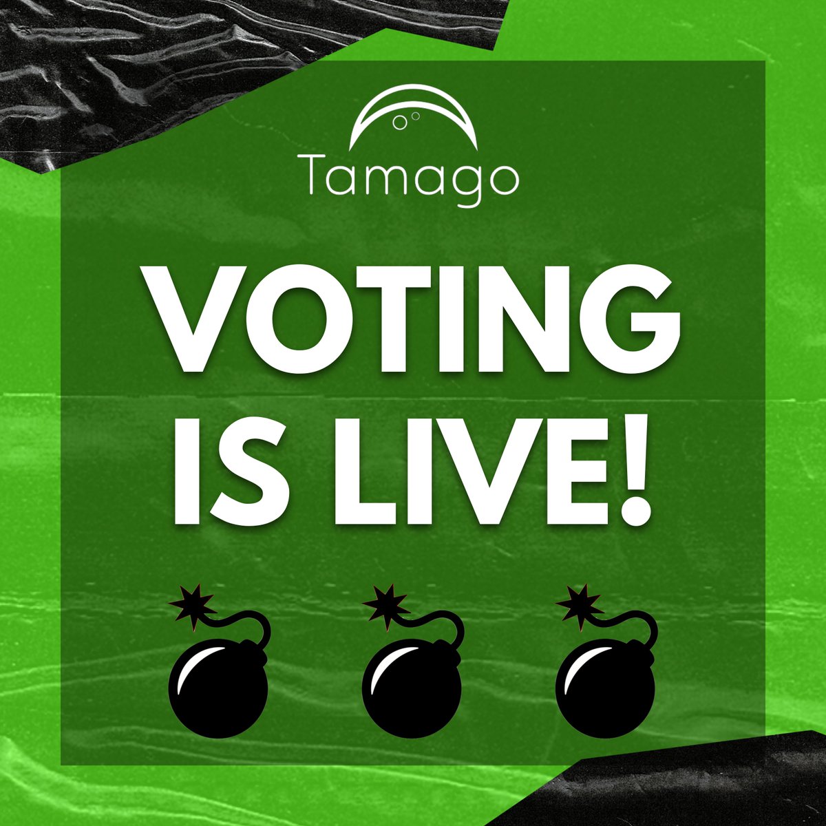 tamago_stream's tweet photo. Voting for our Streaming Contest is⚡️LIVE⚡️
🔥 Congratulations to our finalists 🔥
@GardenAdol, @iamharperseen, @bennyj504, @deejex_, @LordJayWu, @tiazodia, @GreatLawrence6, @CransPaul, @ScarmanDiop, @TOBIPARADISE, @aurora__hunters, & @Dreams9511!!!
💣 Bombs = Votes 🗳️ https://t.co/p9GSx7mfYc