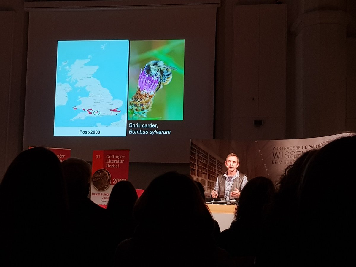 #Biodiversitätskrise, von <a href="/DaveGoulson/">Dave Goulson</a> an einer Art plastisch erläutert:

Die Bunthummel (Bombus sylvarum) ist nicht nur in UK massiv zurückgegangen:

Auch in Deutschland wird die Art seltener &amp; steht mittlerweile auf der Vorwarnliste. <a href="/RoteListe_RLZ/">Rote-Liste-Zentrum</a>