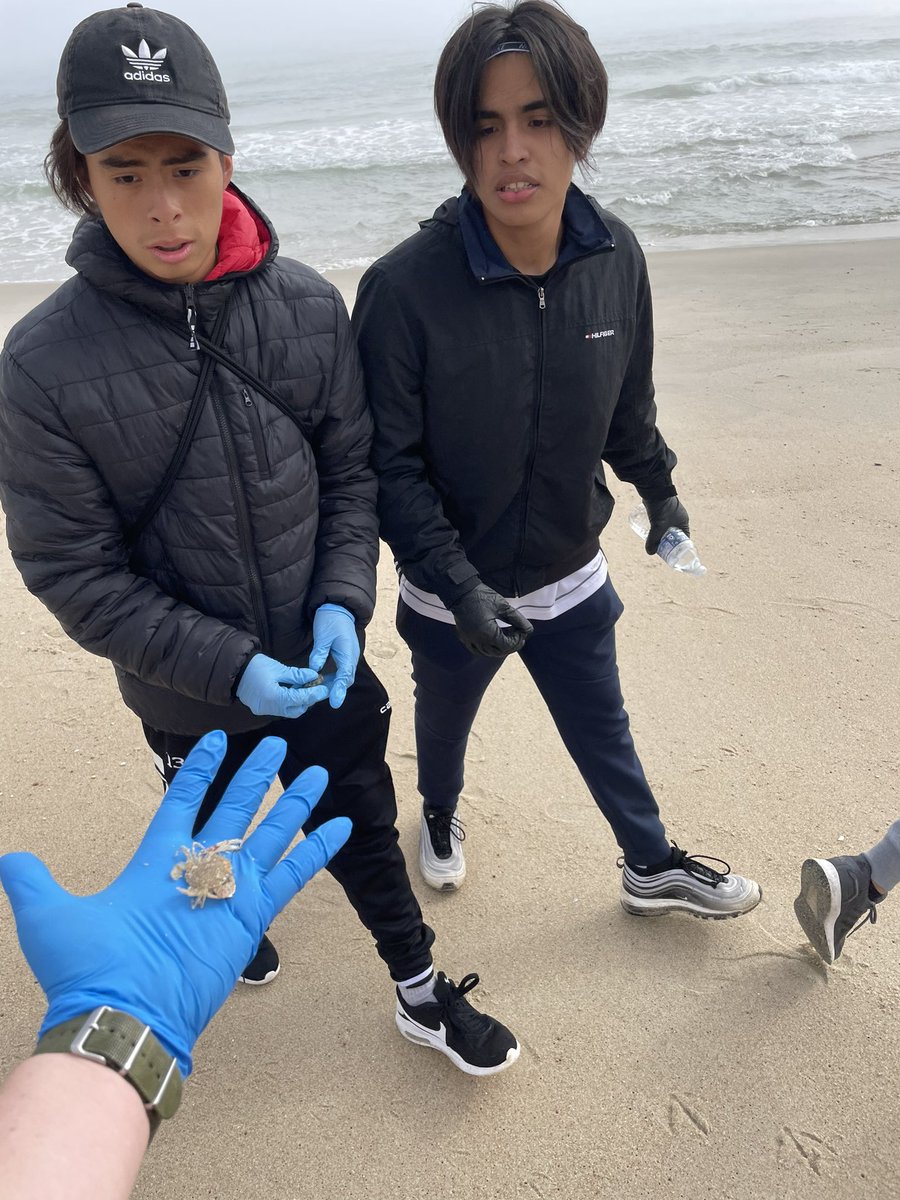 PerryWhs's tweet image. Awesome day. Lots of trash removed. Beach guardian very happy w @WeehawkenTSD Climate Club students!!! #WeeGreen #WeeClean #WeeWork @bcalligy @EDUwithAriel @AdParkin78 @DeStefanoEDU