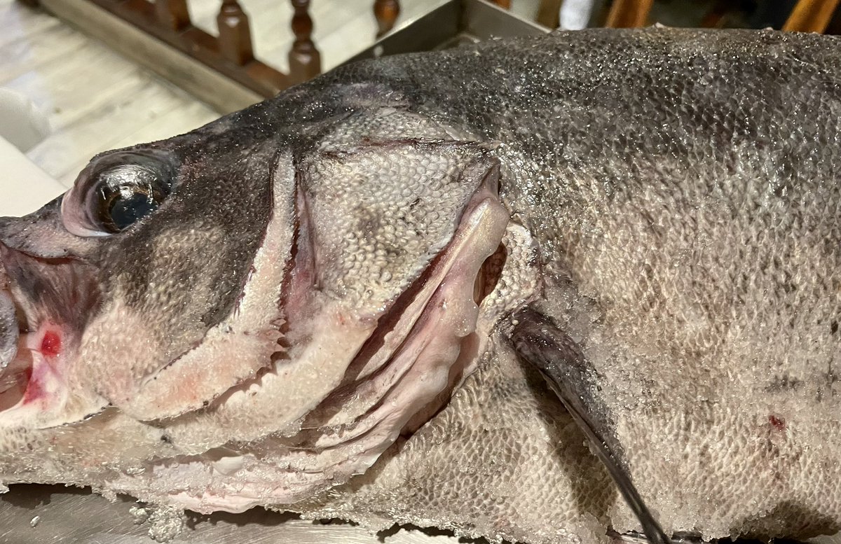 Donato Pérez tweet media