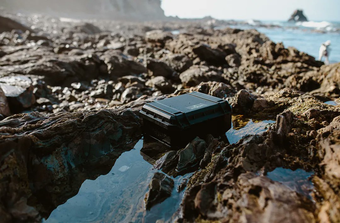 Evergreen tweet media