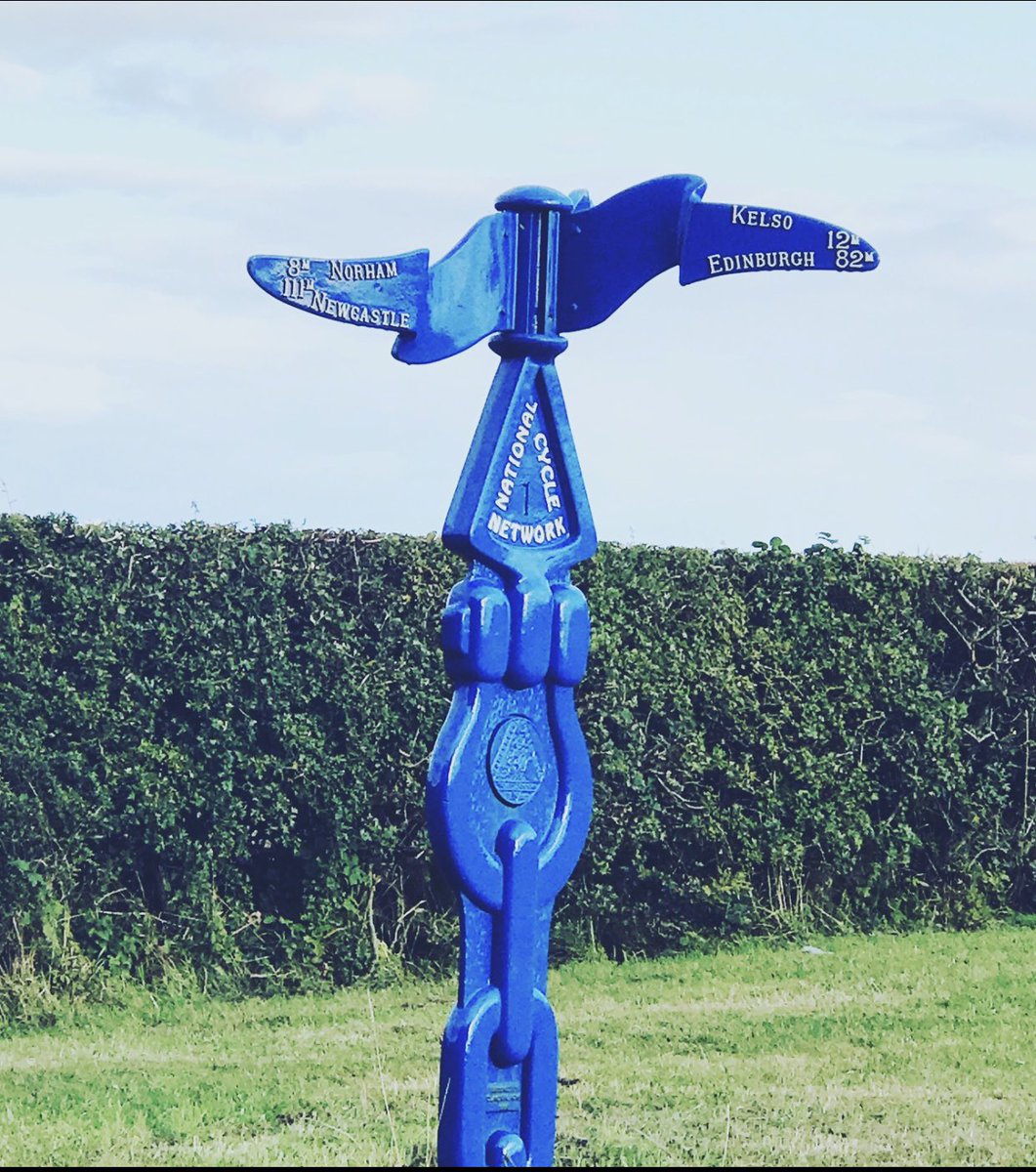 christine gow tweet media