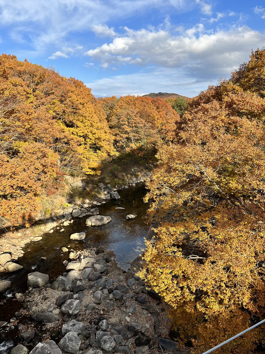 海に紅葉に🏖🍁
素敵な体験ばかり🍁