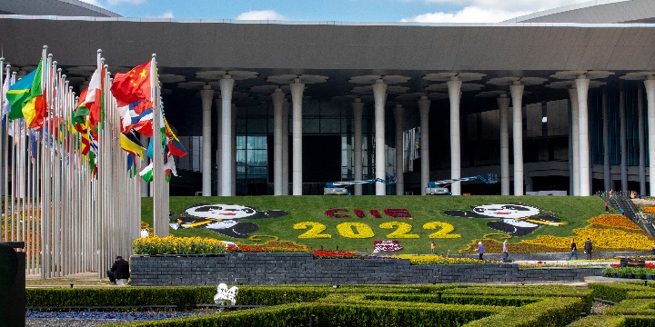 #Live: President Xi Jinping delivers a speech via video at the opening ceremony of the fifth China International Import Expo (#CIIE) and the Hongqiao International Economic Forum on Nov 4. #CIIE2022

📺 bit.ly/3UsHGiS
