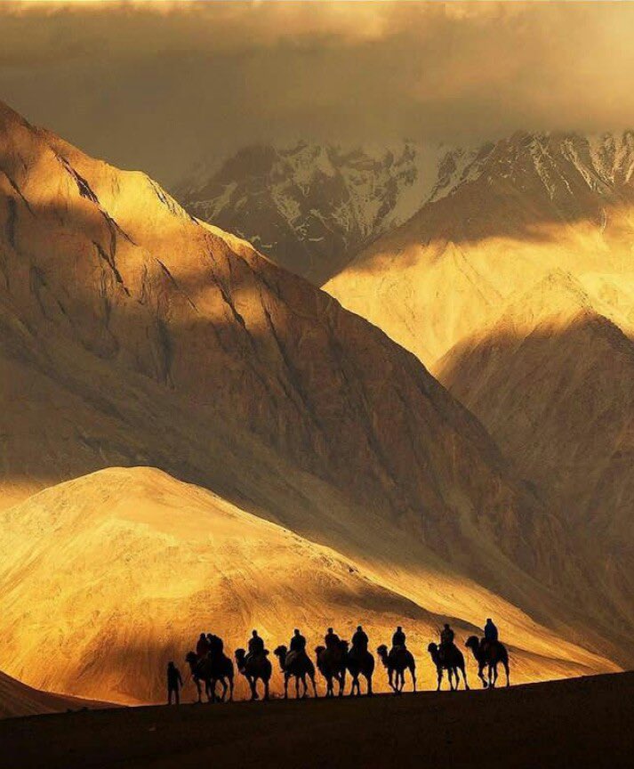 IndiaTales7's tweet image. 10 Beautiful but relatively unexplored Destinations of North India 🇮🇳

1. Nubra Valley, Leh-Ladakh