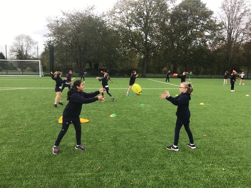 Highfield Sport tweet media