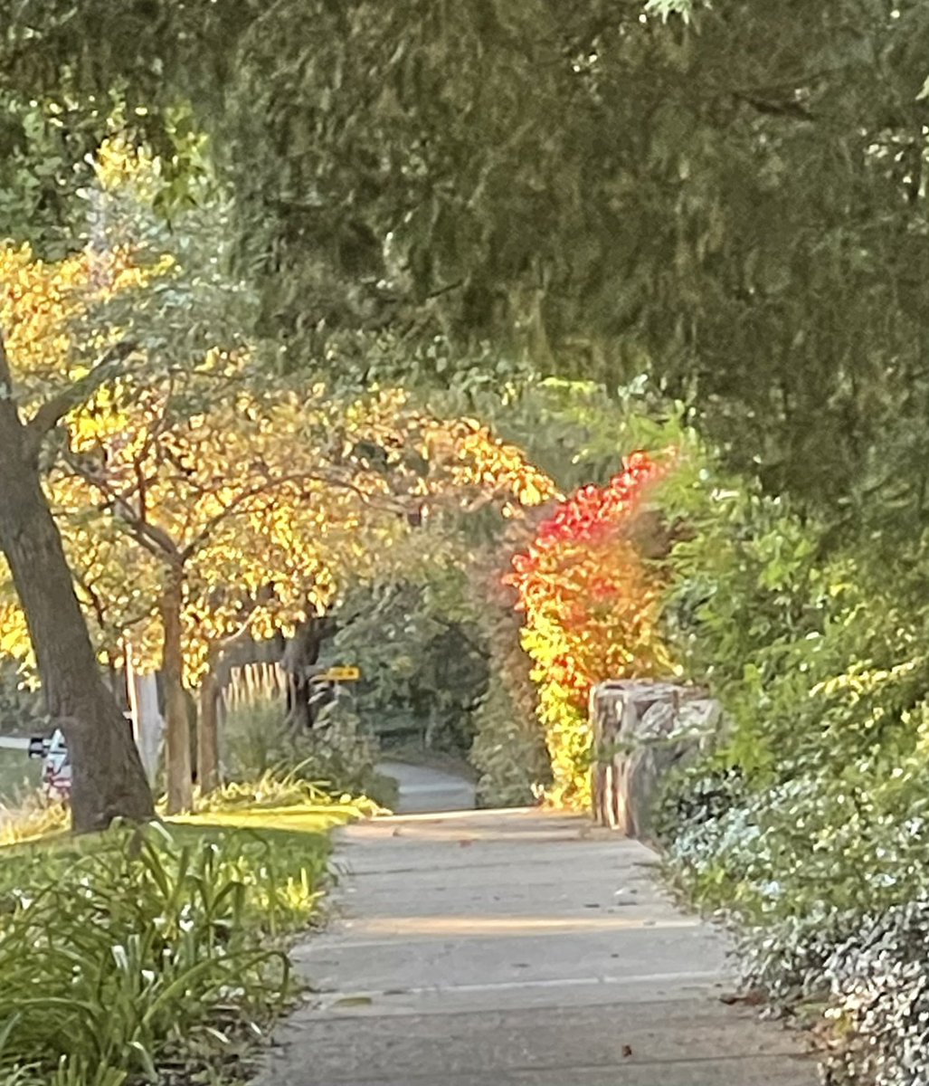 Barbara Stark-Nemon tweet media