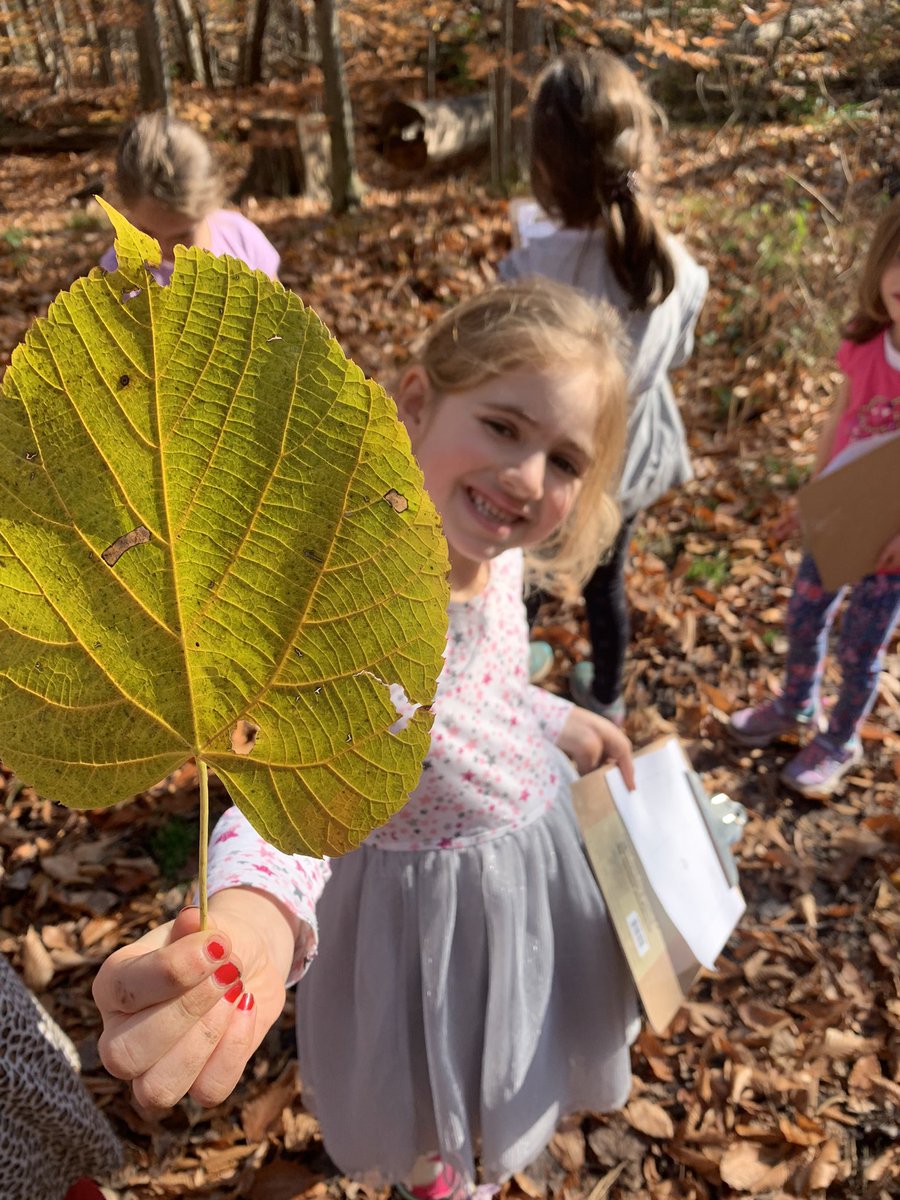 Miss. Canto tweet media