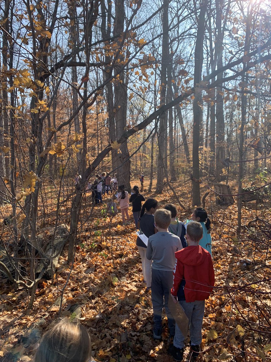 Miss. Canto tweet media