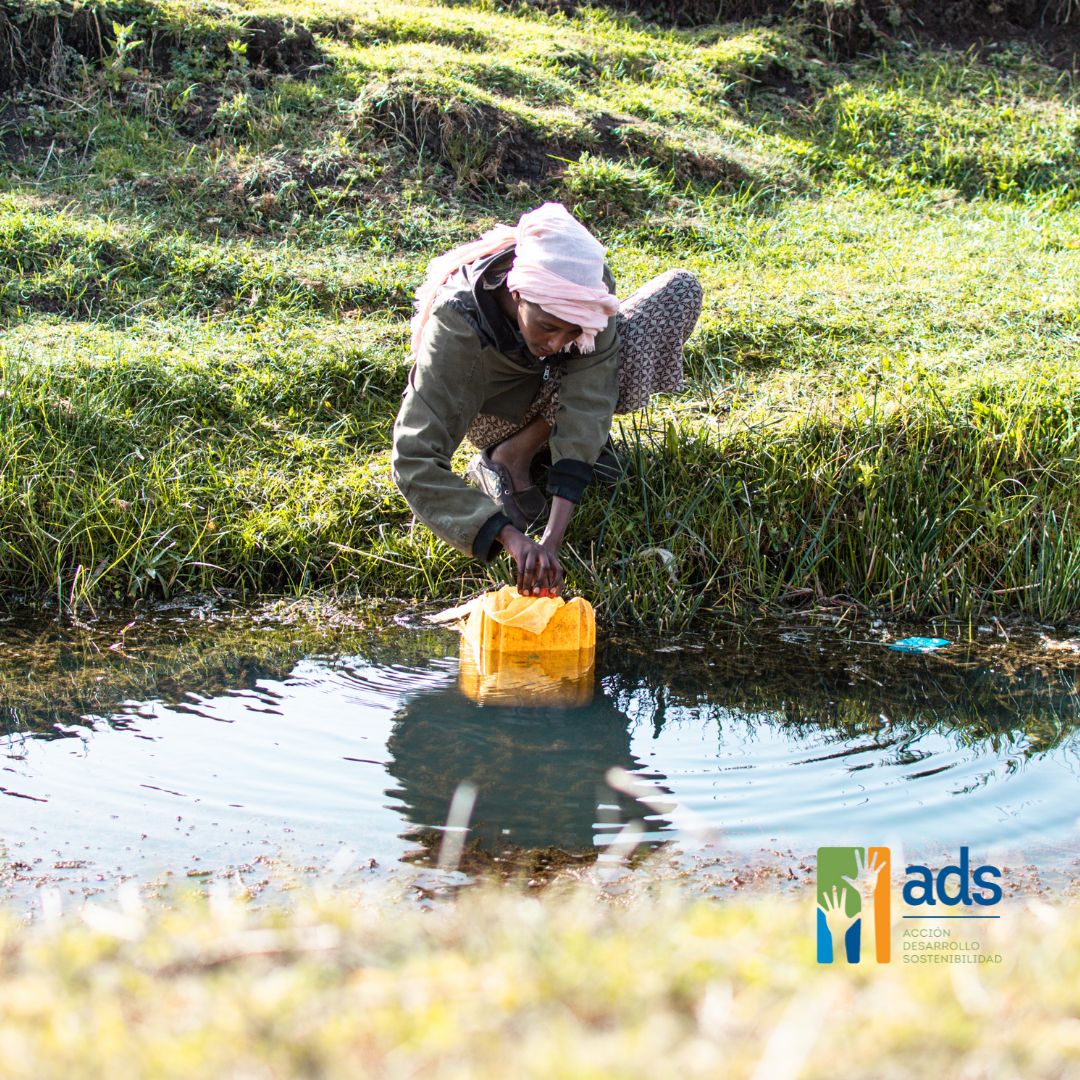 Acción, Desarrollo y Sostenibilidad tweet media