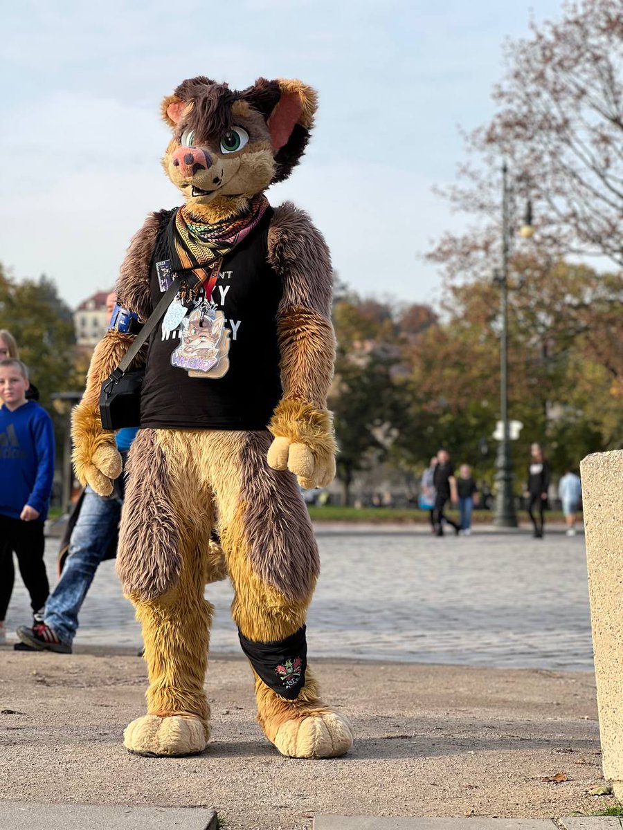 Coyote Kisses taste like Whiskey tweet media