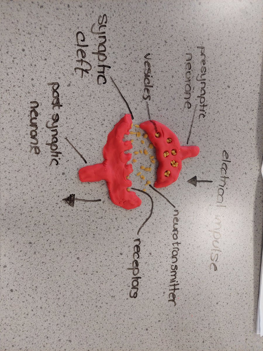 Mrs Hall tweet media