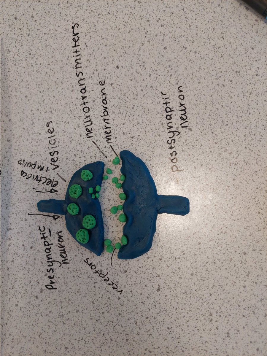 Mrs Hall tweet media