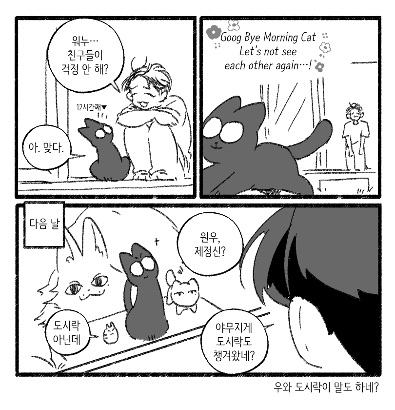 Sunday morning cat