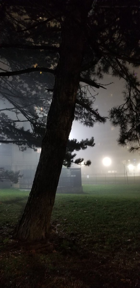 eastyorkcycle's tweet photo. Foggy nights here in #Toronto https://t.co/HiAvkeEtxC