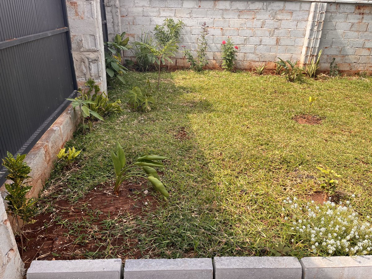 SubiyaCryolite's tweet photo. This weather is doing wonders for my lawn, that and the “barrel” watering technique #CementTwitter https://t.co/XCksu6MNSR