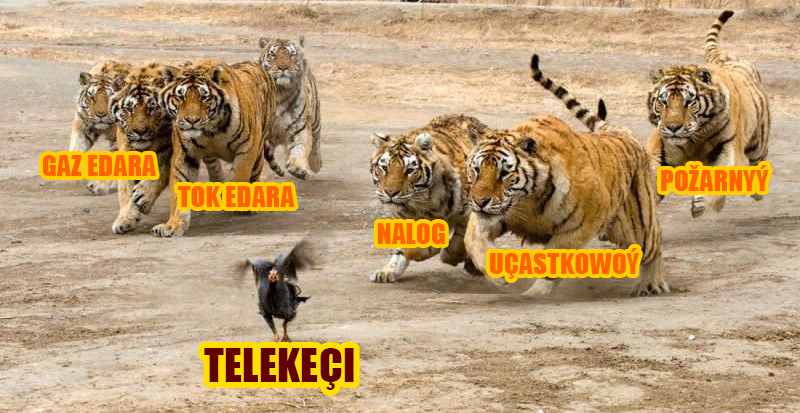 OnlineProgres's tweet photo. Tanyşsyz, kryşasyz kiçi telekeçi, IMO-da görülen #ilat #sesler #Turkmenistan https://t.co/md2cWZe9ae