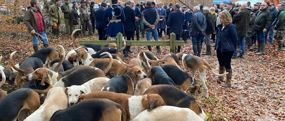 TomDrach's tweet photo. parfois les veneurs eux même) les veneurs, les invités, les suiveurs.
Lors d’une chasse de semaine en février, un jour pluvieux et glacé, ça fait une petite assemblée, mais un joli samedi d’octobre ou de mars, ça fait DU MONDE ! Plus de 100 personnes, facilement. (4/15) https://t.co/s91yhTdI2G