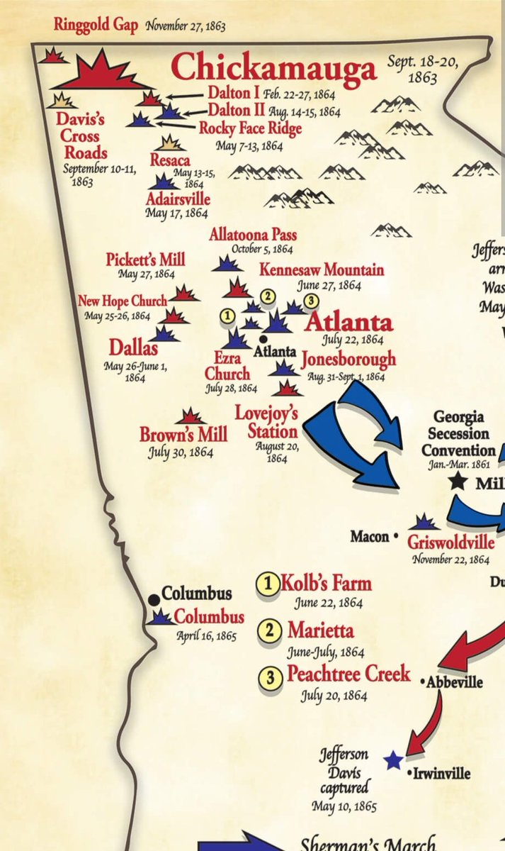 Max Cotterill tweet media