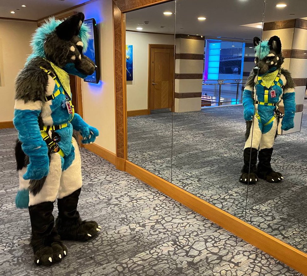 Who…… who are you and why are you staring at me !?  Happy #FursuitFriday  #FBL10