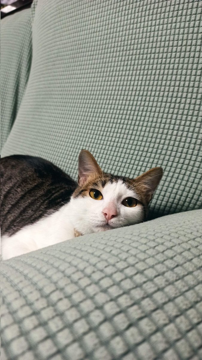 just chillin