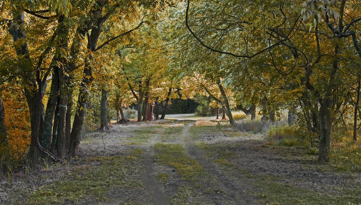 Red Mountain Park tweet media