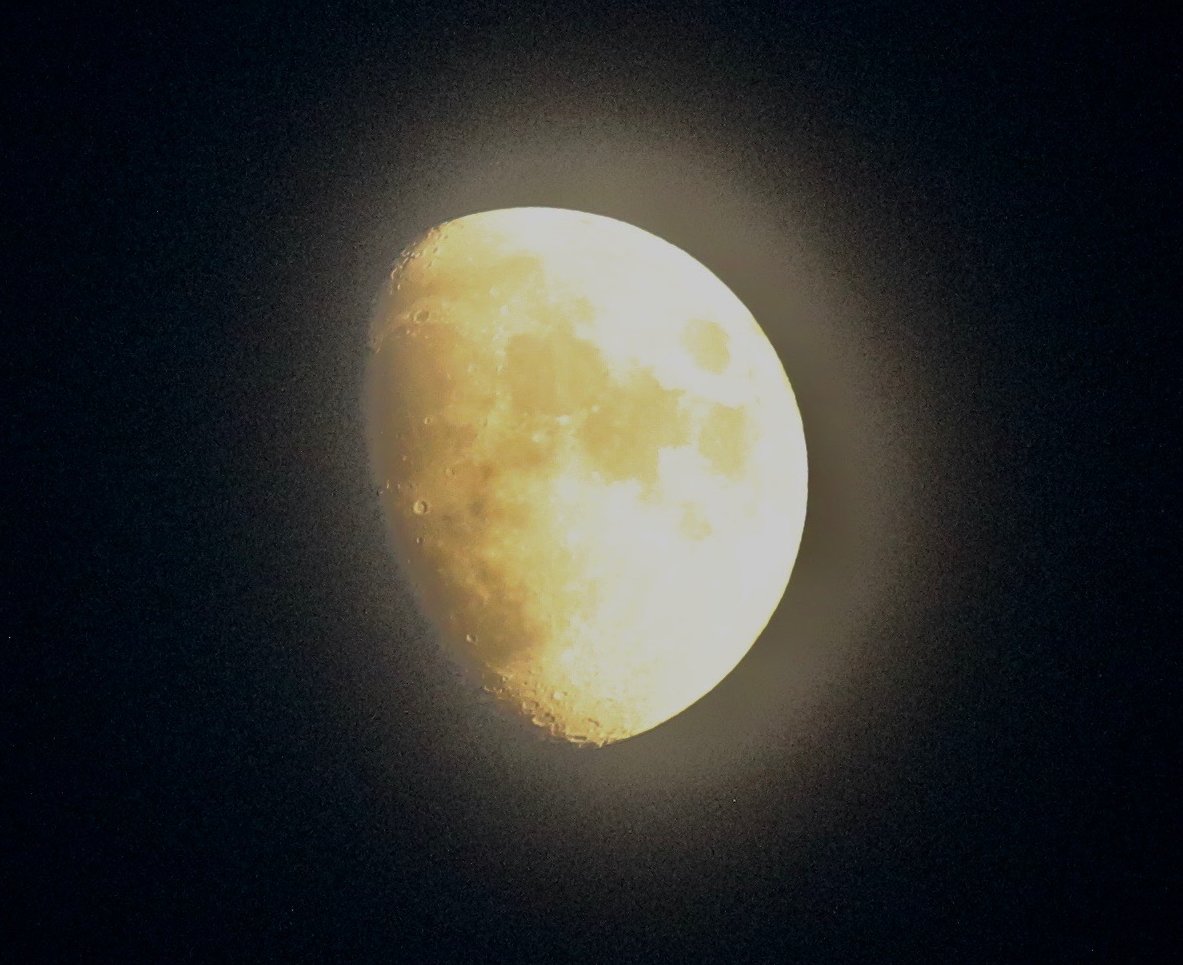 Birding With Barba tweet media