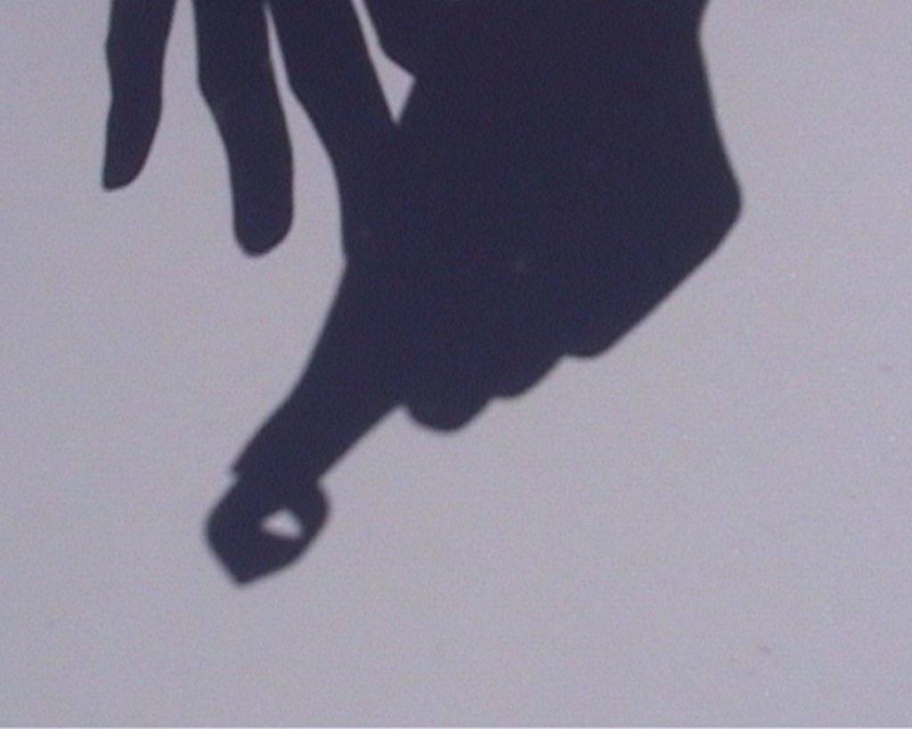 GENTLE STORM tweet media