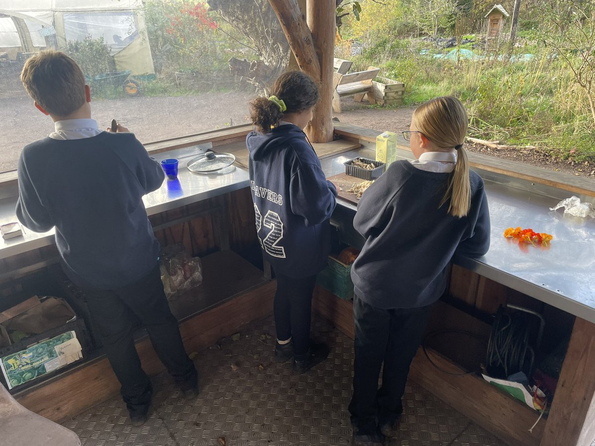 FHSScienceFac's tweet photo. After foraging on site they’re now cooking our Oyster and Lions-mane mushrooms for Lunchtime. https://t.co/gBX1WQXY9A