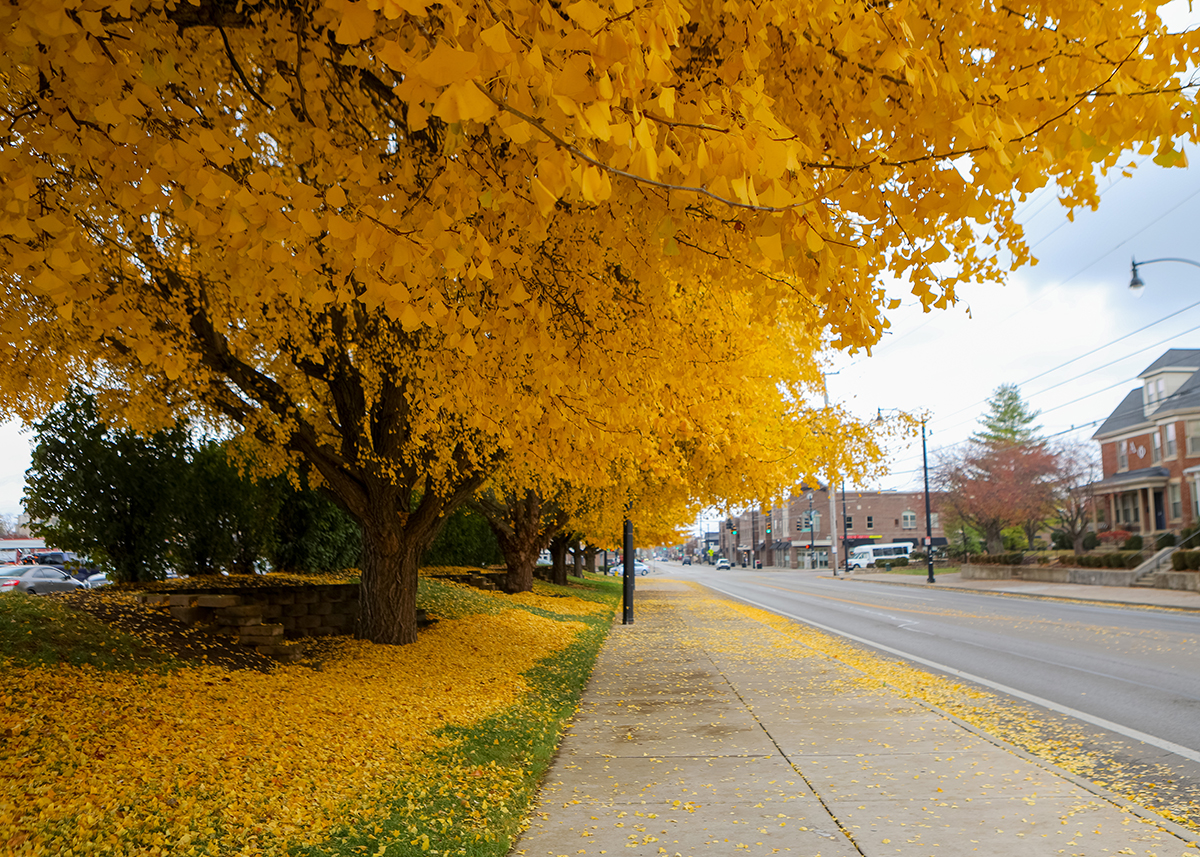 daymag's tweet photo. That you, Brown Street? You're looking a little yellow today... Happy Friday, Flyers! #FlyerEye 📸 Kennedy Kish '24 https://t.co/d8J8NeDtWX