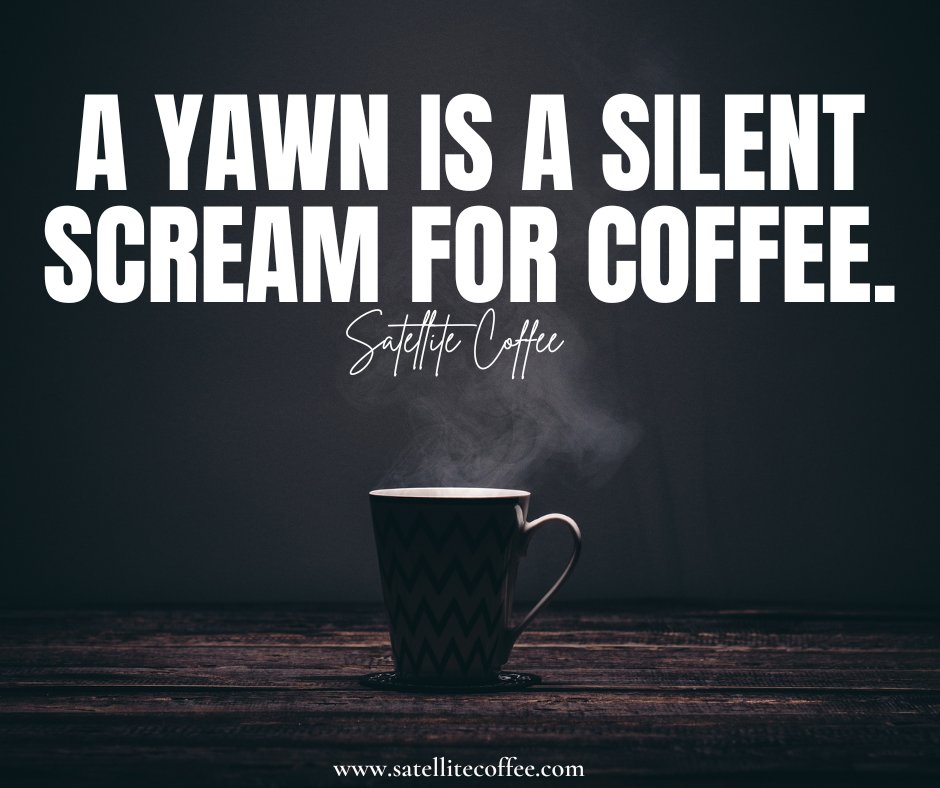 SatelliteCoffee's tweet photo. A yawn is a silent scream for coffee. And we hear you loud and clear! Iced or hot, we have you covered!
#coffee #coldbrewabq #satellitecoffee #albuquerquecoffee #coffeelover #albuquerque #newmexico https://t.co/Tts2WT3GGX