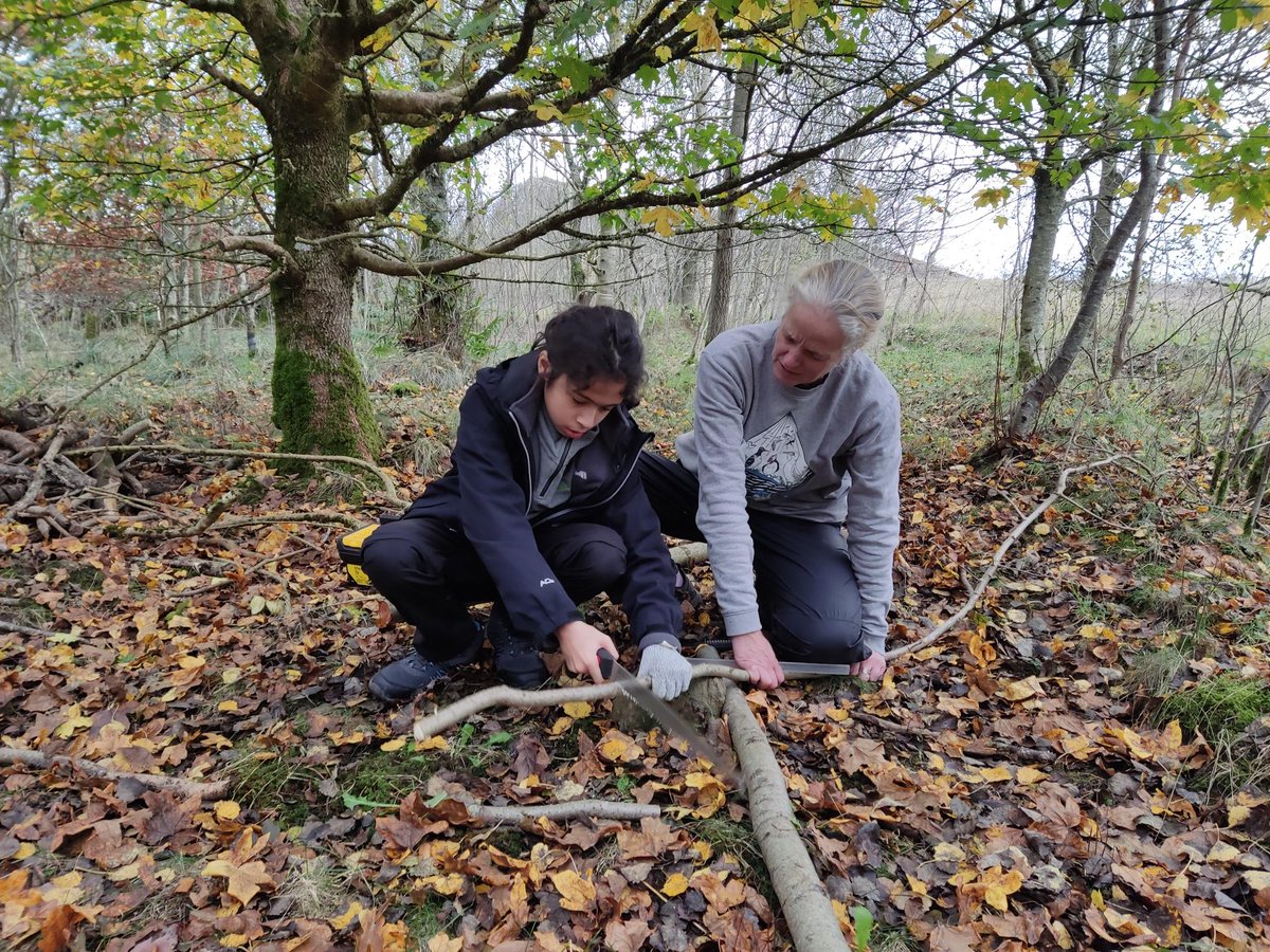 NlandRangers's tweet photo. At last weeks #ForestSchool #HolidayClub at #Walltown we went on a bug hunt, used tools and enjoyed sausage sandwiches cooked on fire. As well as several games of Eagle Eye, and the usual trip to the labyrinth. @NlandNP #Outdoorplay #whittling #sawing #freshair #outdoors https://t.co/xeOiVTRmJd