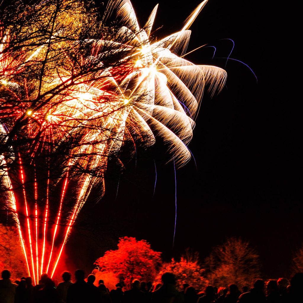 Remember, remember to make your way to our Harbour Lawn at 7.30pm this evening to enjoy our annual spectacular fireworks display followed by the bonfire lighting.​

Bring cash for homemade toffee apples and warm cider!​

#rememberremember #fireworksnight #wolfsonfireworks