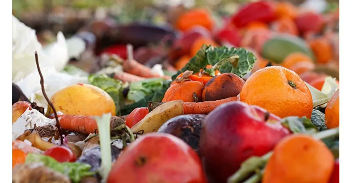 Bright Feeds is opening a plant licensed to process 450 tons of food waste per day for the next 10 years: buff.ly/3NxGYhM