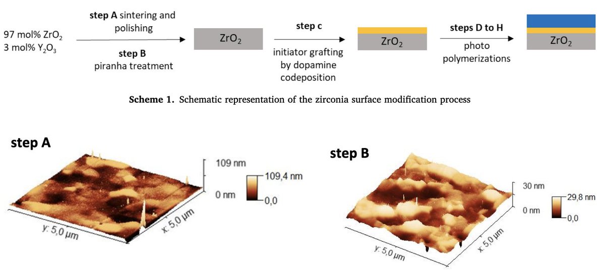 CRISMAT_CNRS's tweet photo. Zirconia surface polymer grafting via dopamine-assisted co-deposition and radical photopolymerization
#ICMMO #LCMT #CIMAP
📕DOI: https://t.co/Kn84ysuCHx
@CNRS @normandieuniv @ENSICAEN @Universite_Caen @Carnot_ESP @CNRS_Normandie @INC_CNRS @Reseau_Carnot https://t.co/UQuAmpgzq7