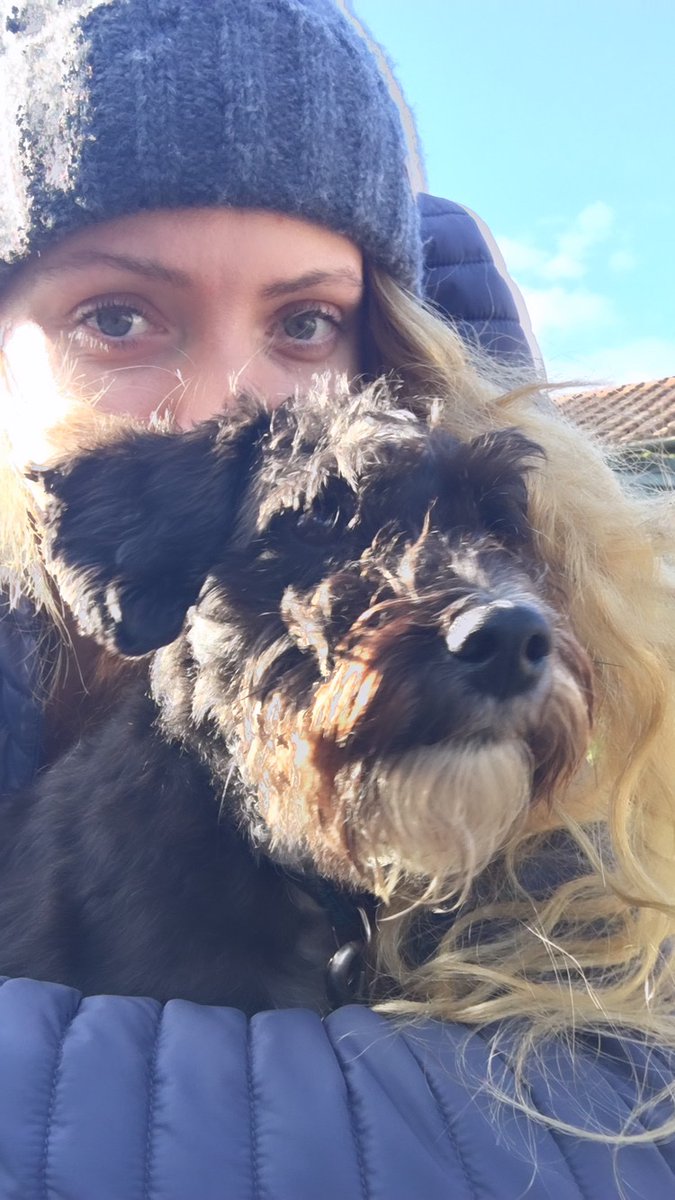 Pip Mountjoy tweet media