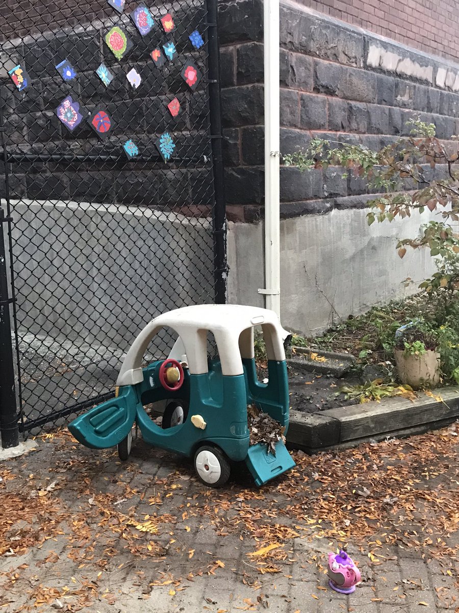 Carol Shea tweet media