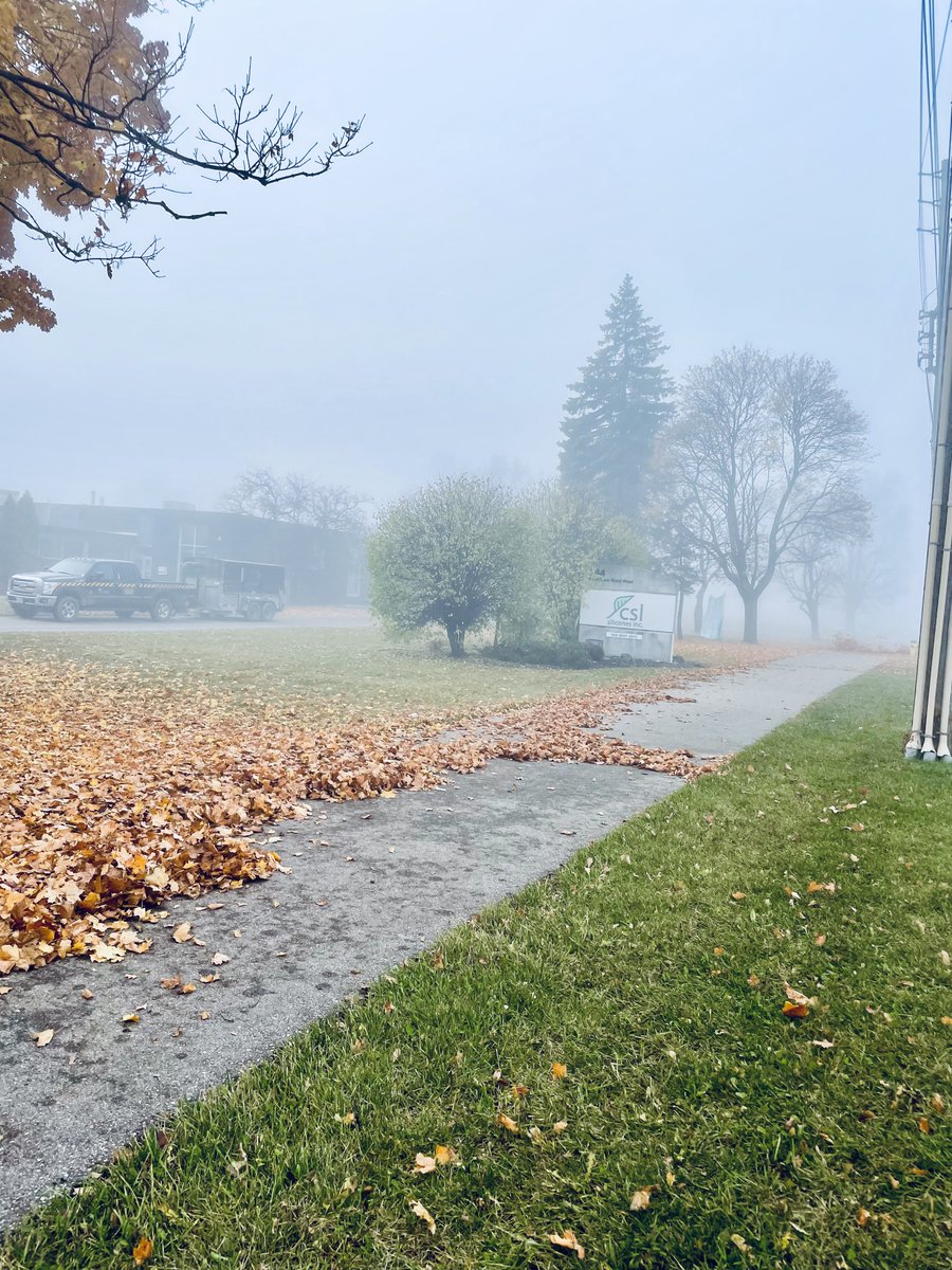 nuimageinc's tweet photo. The leaves continue to fall and we continue to clean them up. https://t.co/7MIsKCmNAo