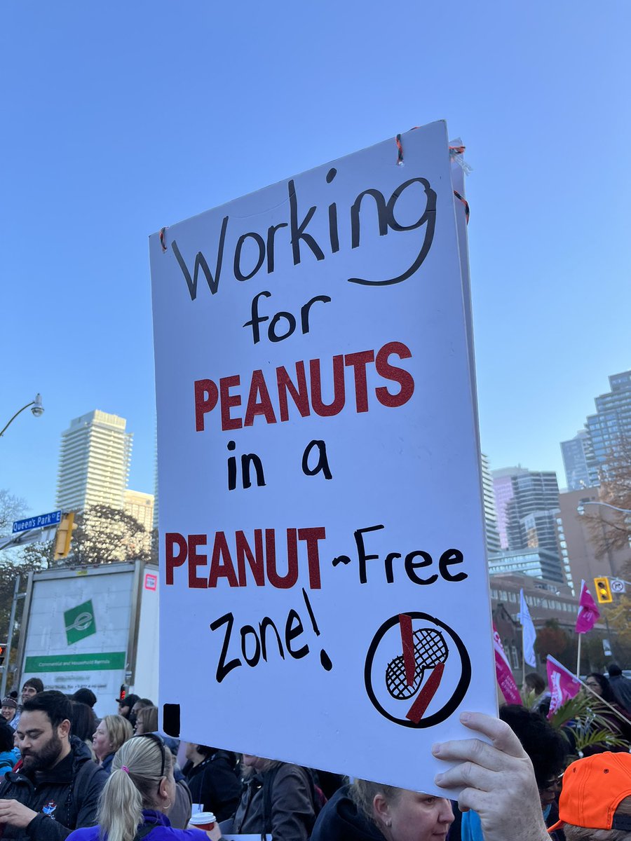 hannahelisema's tweet photo. An attack on the labour rights of some is an attack on all workers. Solidarity with education workers! Ontario deserves better funding and support for our education system. https://t.co/jEfKUTxdef