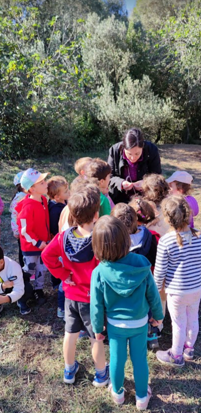 escola_itaca's tweet photo. Gaudint, descobrint, experimentant, explorant...sortida a la natura #EI4Itaca a Can Coll #natura #explorant 🍃🍂☘️🌿🌳 https://t.co/myLHTQu6pB