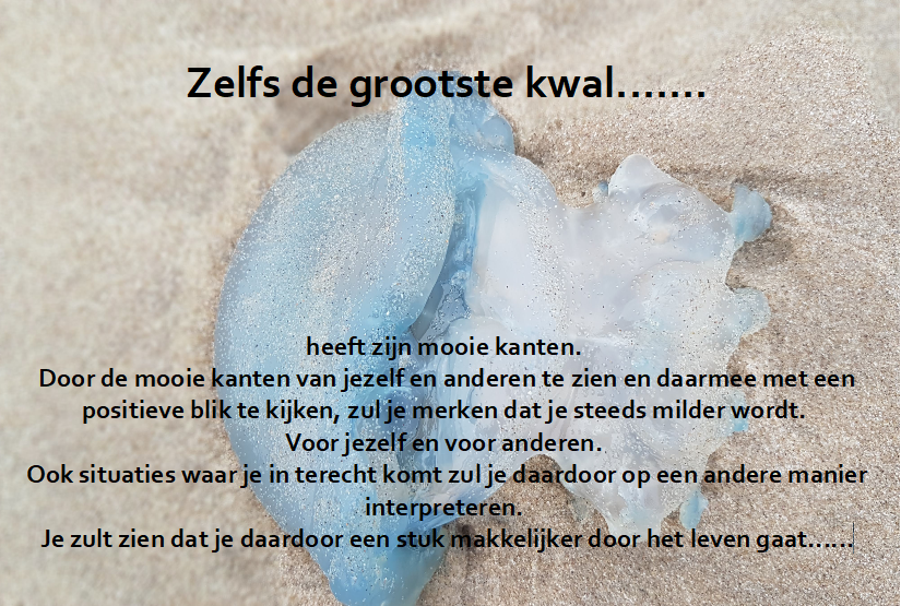phenomenacoach's tweet photo. #hypnotherapie #phenomenacoach #positiviteit https://t.co/q1acrLB3wZ