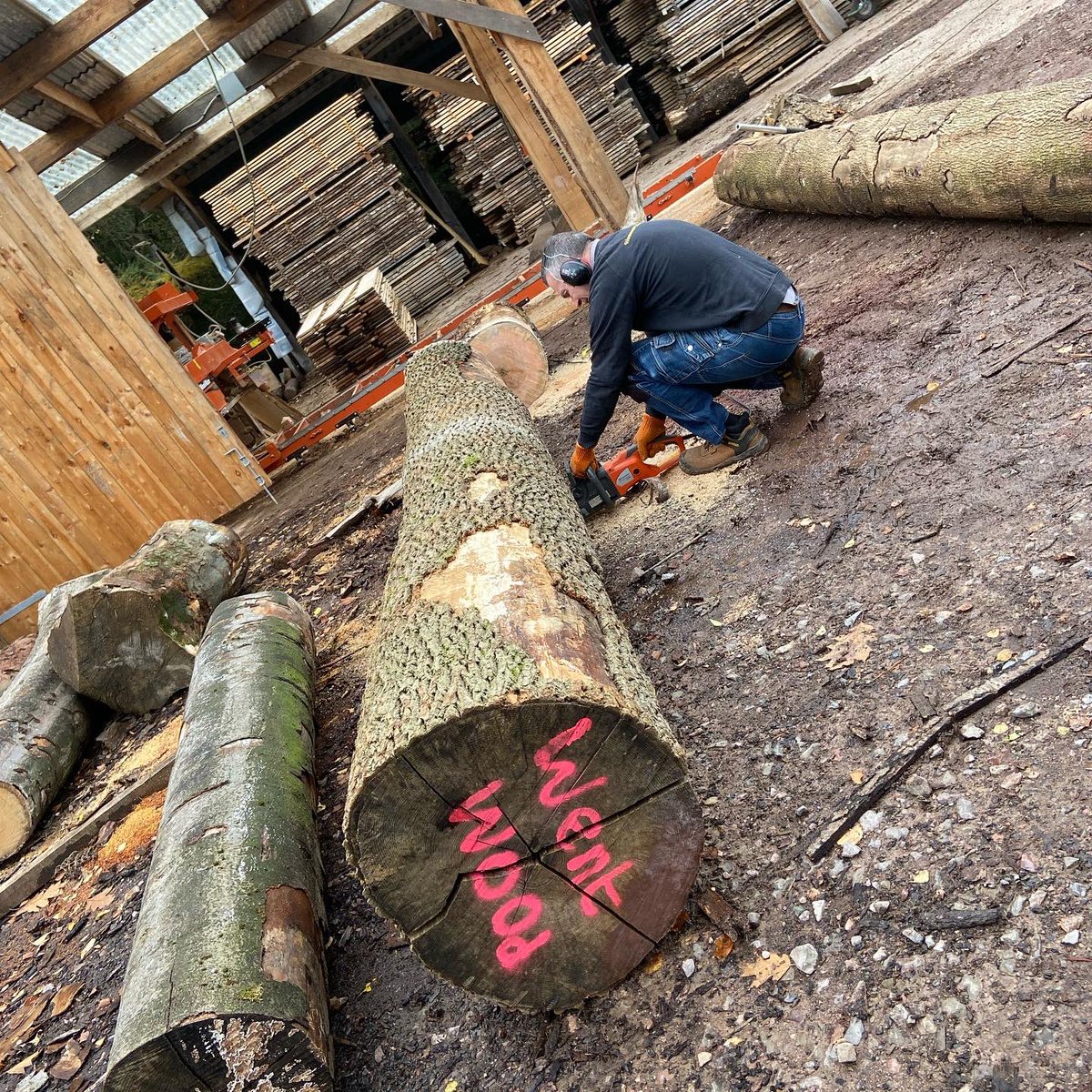WenTimberCentre's tweet photo. This Ash log has literally got our name on and Mike made short work of it to turn in into lovely boards. This log came from a managed woodland in the Forest of Dean π³π#ash #localtimber #sustainabletimber #managedwoodlands #forestofdean https://t.co/xXvNRHcydR
