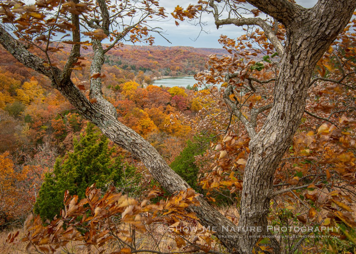 ShowMeNature's tweet photo. "A View From the Bluffs" https://t.co/oH48p77C15 #Missouri #fall_colors #Ozarks #nature #photography https://t.co/aCjHiBcgF5