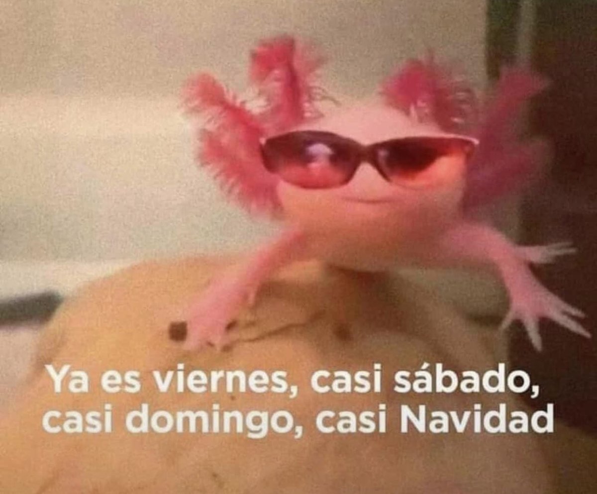El Guarromántico (@guarromantico_) on Twitter photo 